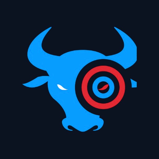BullzEye View app icon